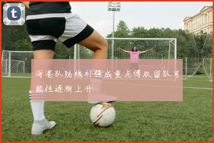 海港队防线补强成重点傅欢留队可能性逐渐上升